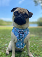 Load image into Gallery viewer, Mine Mine Mine Harness