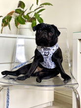 Load image into Gallery viewer, Raccoon Bloom