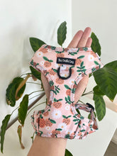 Load image into Gallery viewer, Orange Blossom Harness