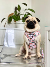 Load image into Gallery viewer, Orange Blossom Harness