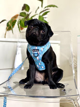 Load image into Gallery viewer, Mine Mine Mine Harness