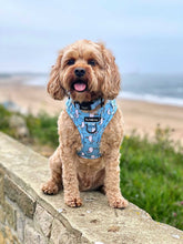 Load image into Gallery viewer, Mine Mine Mine Harness