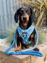 Load image into Gallery viewer, Mine Mine Mine Harness