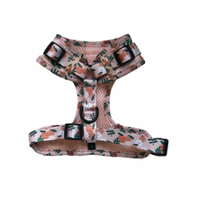 Load image into Gallery viewer, Orange Blossom Harness