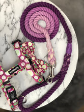 Load image into Gallery viewer, Kiwi Kisses