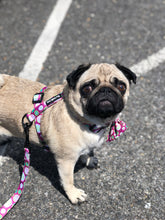 Load image into Gallery viewer, Kiwi Kisses