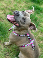 Load image into Gallery viewer, Kiwi Kisses