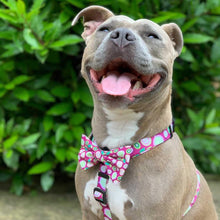 Load image into Gallery viewer, Kiwi Kisses