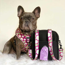 Load image into Gallery viewer, Kiwi Kisses  Adventure Bag Strap