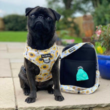 Load image into Gallery viewer, Sunpower  Adventure Bag Strap