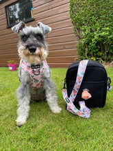 Load image into Gallery viewer, Orange Blossom  Adventure Bag Strap