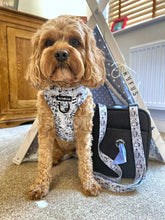 Load image into Gallery viewer, Raccoon Bloom  Adventure Bag Strap