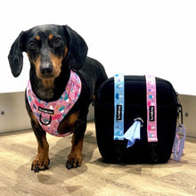 Load image into Gallery viewer, Funguy  Strap  Adventure Bag Strap