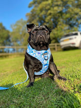 Load image into Gallery viewer, Funguy Harness * SECONDS*