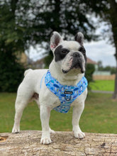 Load image into Gallery viewer, Funguy Harness * SECONDS*