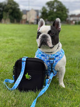 Load image into Gallery viewer, Funguy Harness * SECONDS*