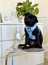 Load image into Gallery viewer, Funguy Harness * SECONDS*