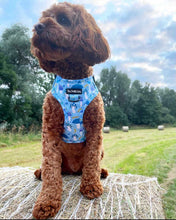 Load image into Gallery viewer, Funguy Harness * SECONDS*