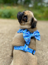 Load image into Gallery viewer, Funguy