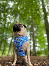 Load image into Gallery viewer, Funguy Harness * SECONDS*
