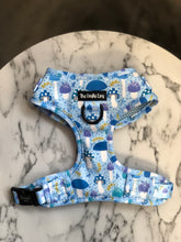 Load image into Gallery viewer, Funguy Harness * SECONDS*
