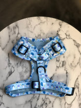 Load image into Gallery viewer, Funguy Harness * SECONDS*