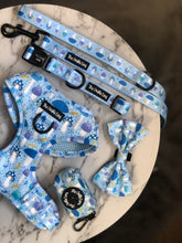 Load image into Gallery viewer, Funguy Harness * SECONDS*