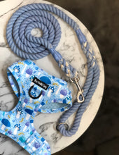 Load image into Gallery viewer, Funguy Harness * SECONDS*