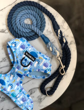 Load image into Gallery viewer, Funguy Harness * SECONDS*