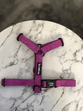 Load image into Gallery viewer, Sparkler - Witches Brew Strap Harness