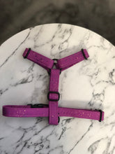 Load image into Gallery viewer, Sparkler - Witches Brew Strap Harness