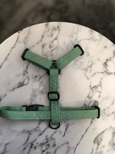 Load image into Gallery viewer, Sparkler - Sage Strap Harness