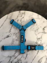 Load image into Gallery viewer, Sparkler - Jolly Rancher Strap Harness