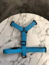Load image into Gallery viewer, Sparkler - Jolly Rancher Strap Harness