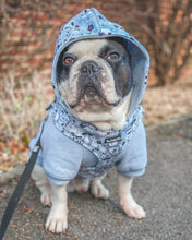 Load image into Gallery viewer, Raccoon Bloom