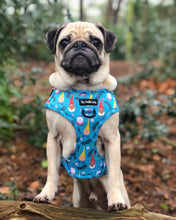 Load image into Gallery viewer, Gnomeo & Juliet Harness