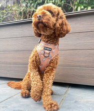 Load image into Gallery viewer, Giraffic Park Harness