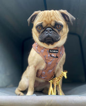 Load image into Gallery viewer, Giraffic Park Harness