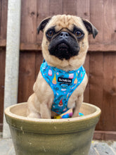 Load image into Gallery viewer, Gnomeo & Juliet Harness