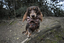 Load image into Gallery viewer, Giraffic Park Harness