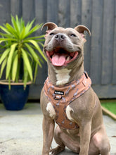 Load image into Gallery viewer, Giraffic Park Harness