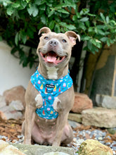 Load image into Gallery viewer, Gnomeo & Juliet Harness