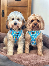 Load image into Gallery viewer, Gnomeo & Juliet Harness