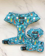 Load image into Gallery viewer, Gnomeo & Juliet Harness