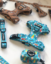 Load image into Gallery viewer, Gnomeo & Juliet Harness