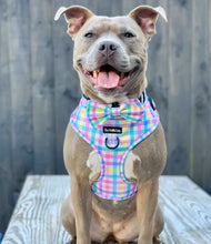 Load image into Gallery viewer, Picnic Plaid Harness
