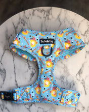 Load image into Gallery viewer, Honey Heist Harness