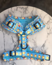 Load image into Gallery viewer, Honey Heist Harness