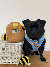 Load image into Gallery viewer, Honey Heist Harness