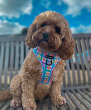 Load image into Gallery viewer, Picnic Plaid Harness